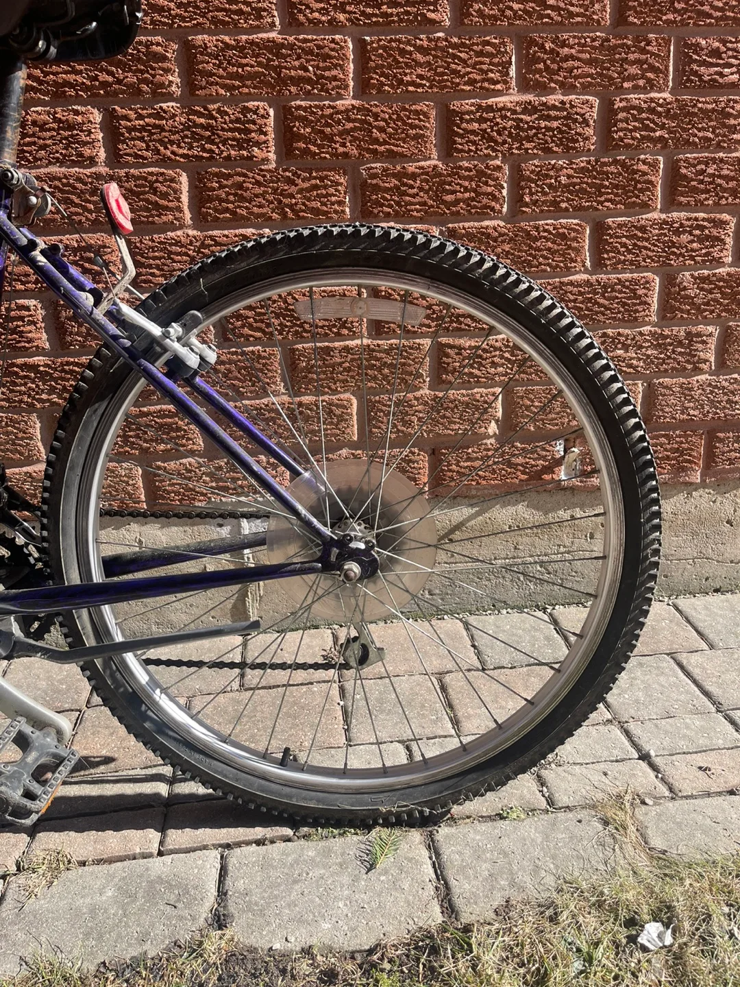 Women's Mountain Bike image indicator(2)