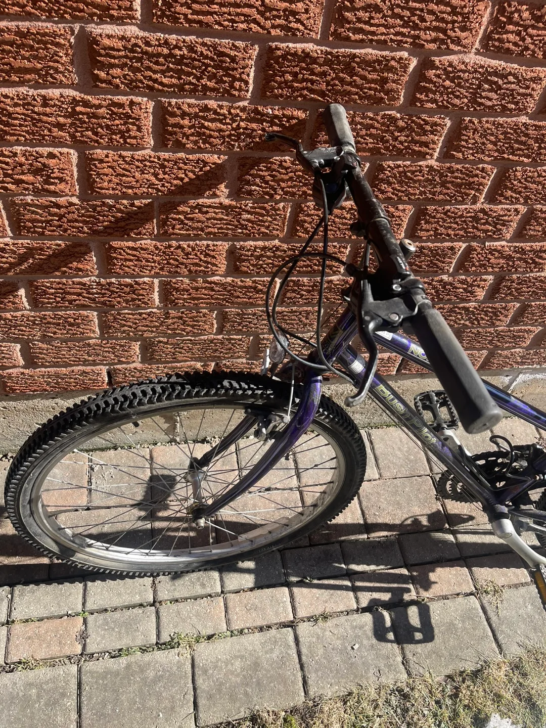 Women's Mountain Bike image indicator(3)