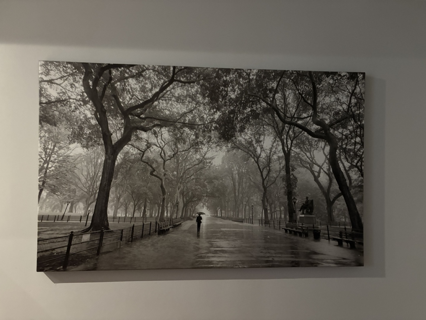 Black and white Central Park canvas print
