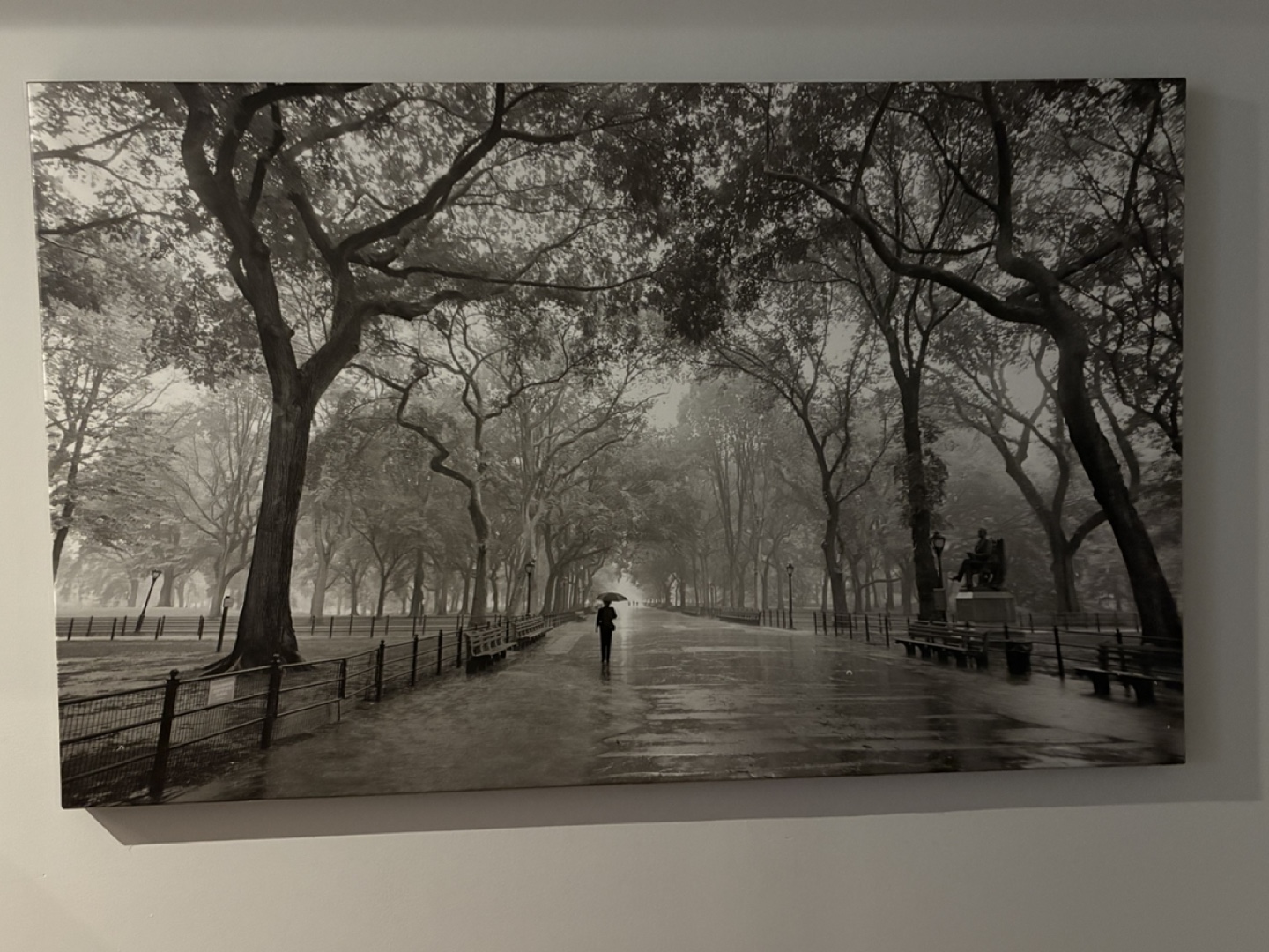 Black and white Central Park canvas print - photo 2