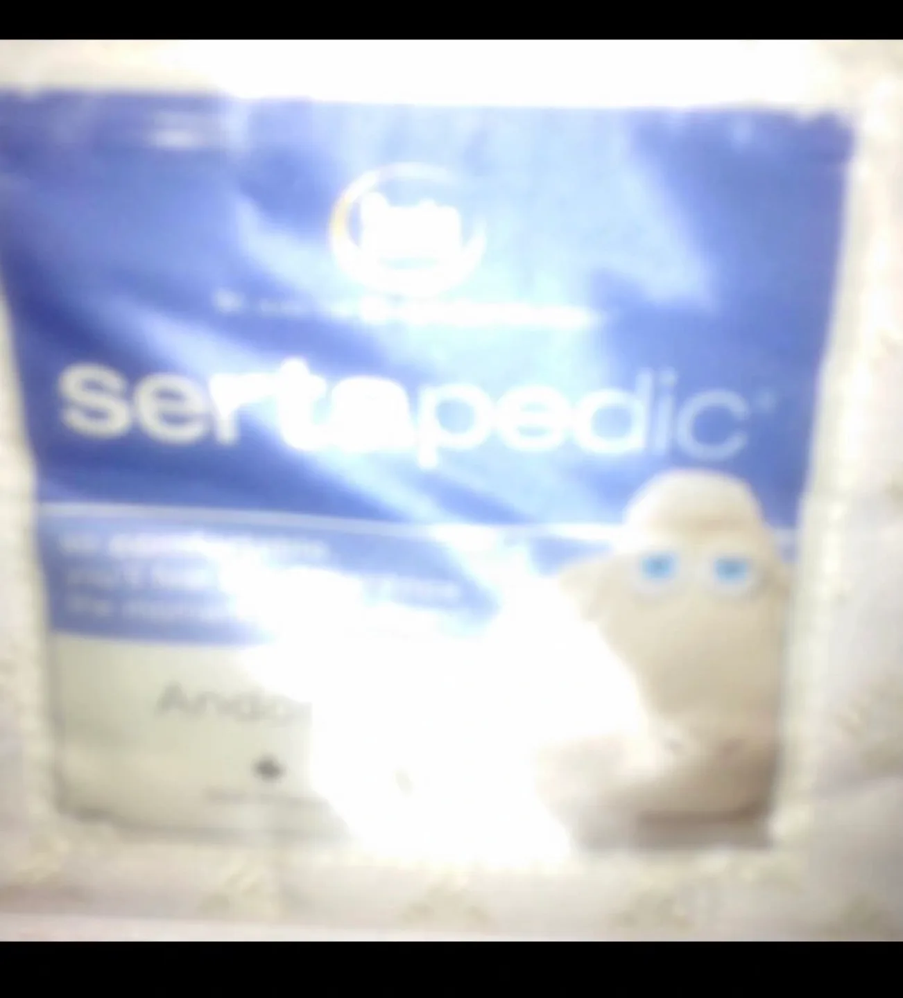 Sertapedic Queen Mattress and Wooden Bedroom Set image indicator(4)