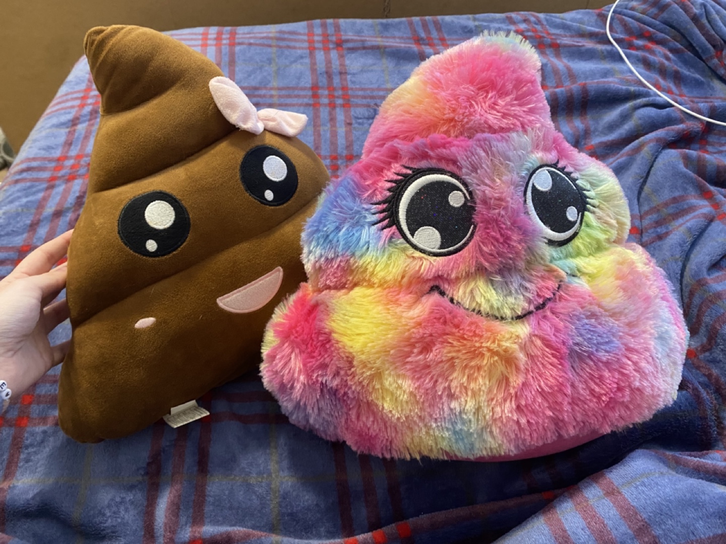 Pair of Emoji Poo Pillows ($10 for both)