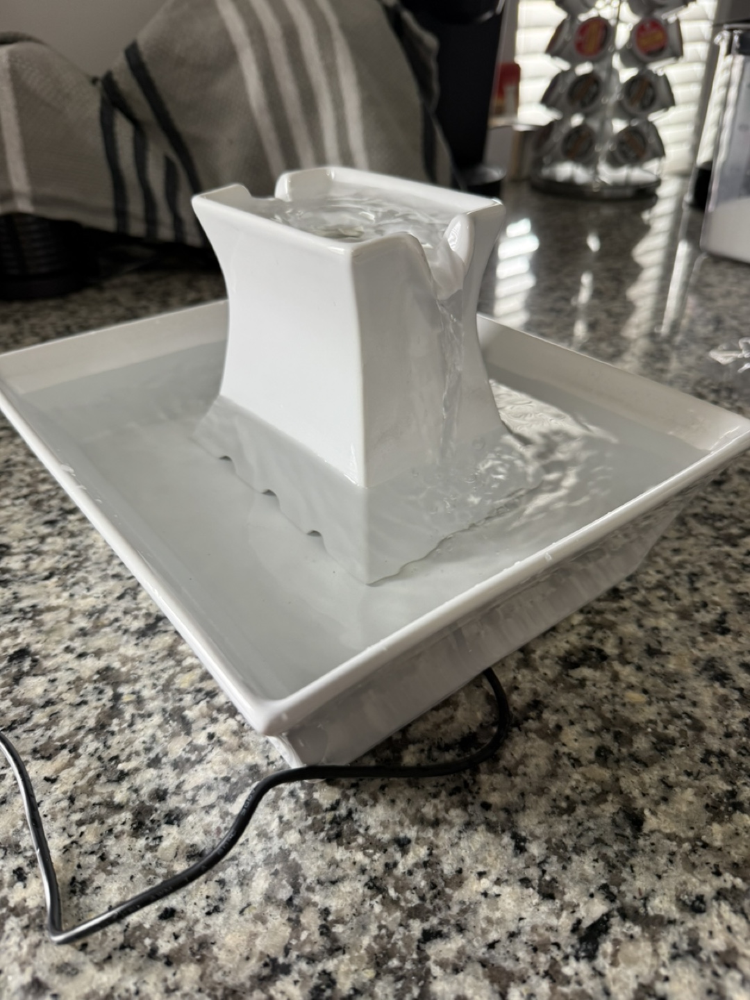Cat and Dog Water Fountain (PetSafe Drinkwell Ceramic Pagoda)