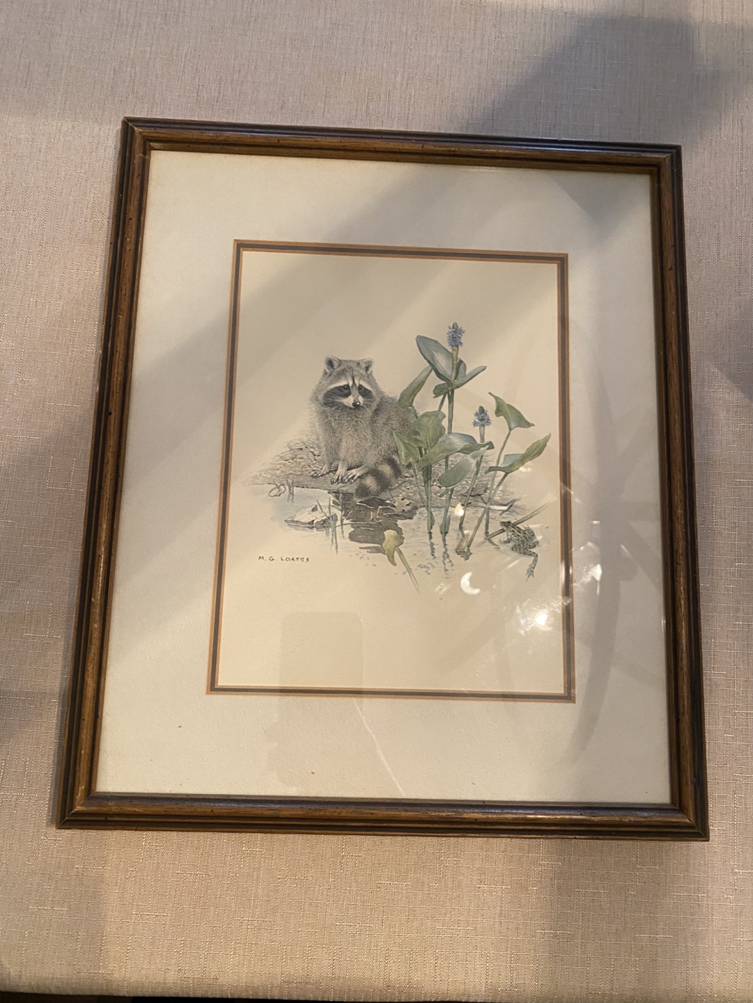 Vintage raccoon painting