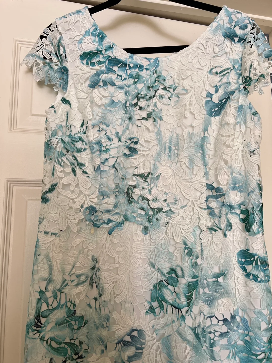 Gorgeous Teal and White Floral Lace Dress image indicator(2)