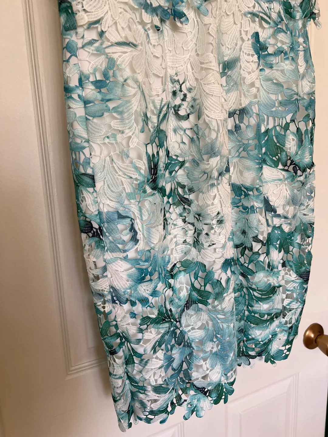 Gorgeous Teal and White Floral Lace Dress image indicator(6)