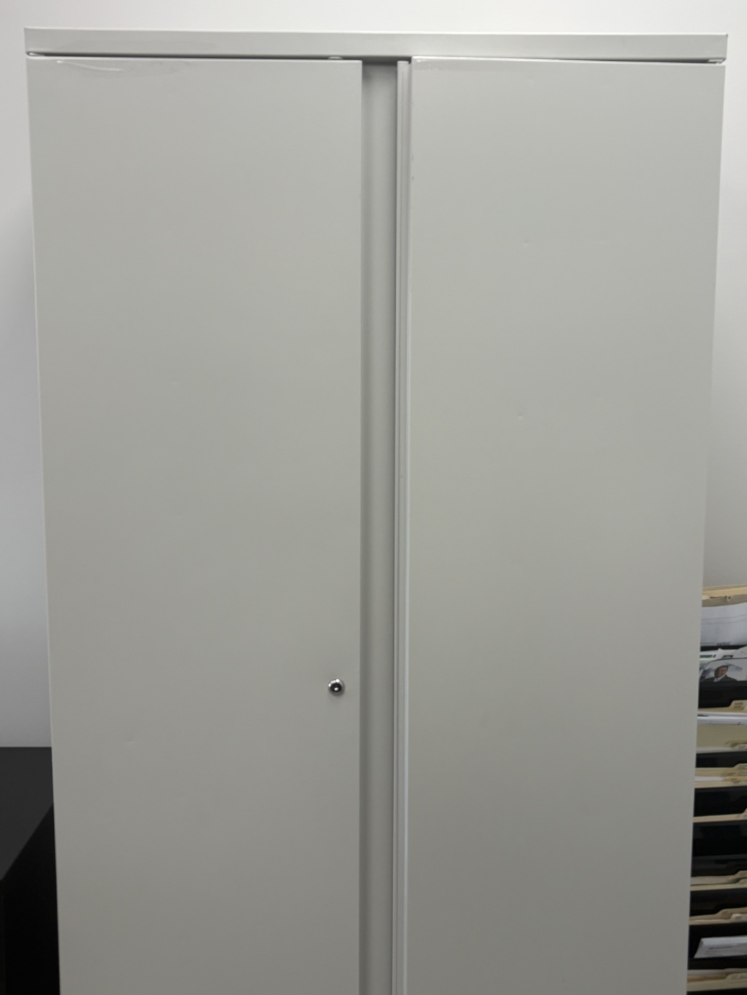 Metal Storage Cabinet with Shelves