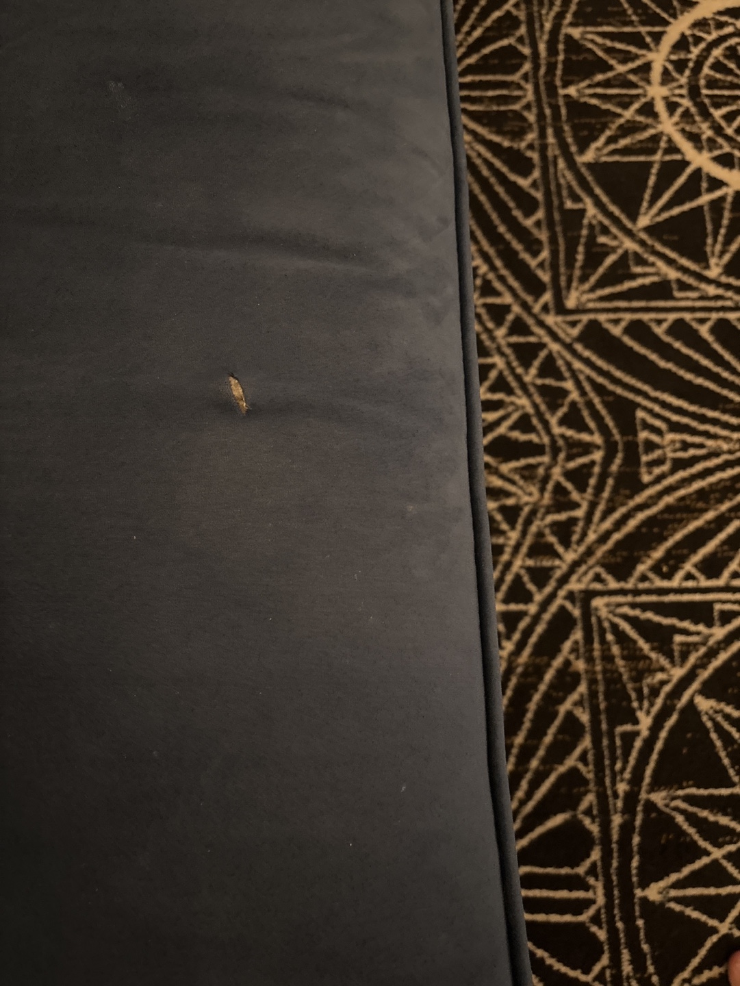 Mid-Century Modern Velvet Sofa - Blue - photo 5