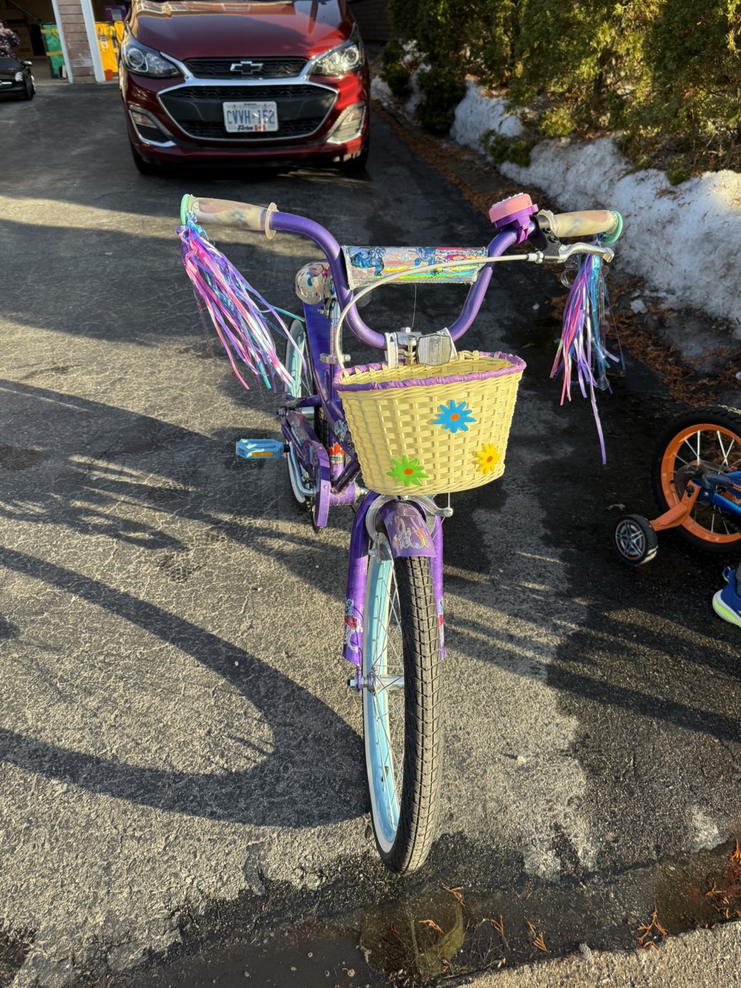 Girls' Purple Savvy Bicycle with Basket