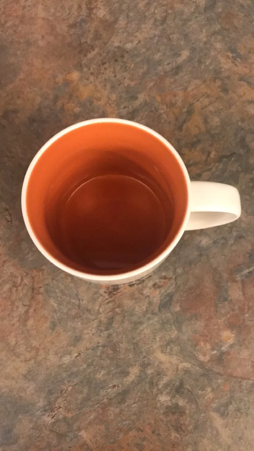 Starbucks You Are Here Collection Chicago Mug image indicator(4)