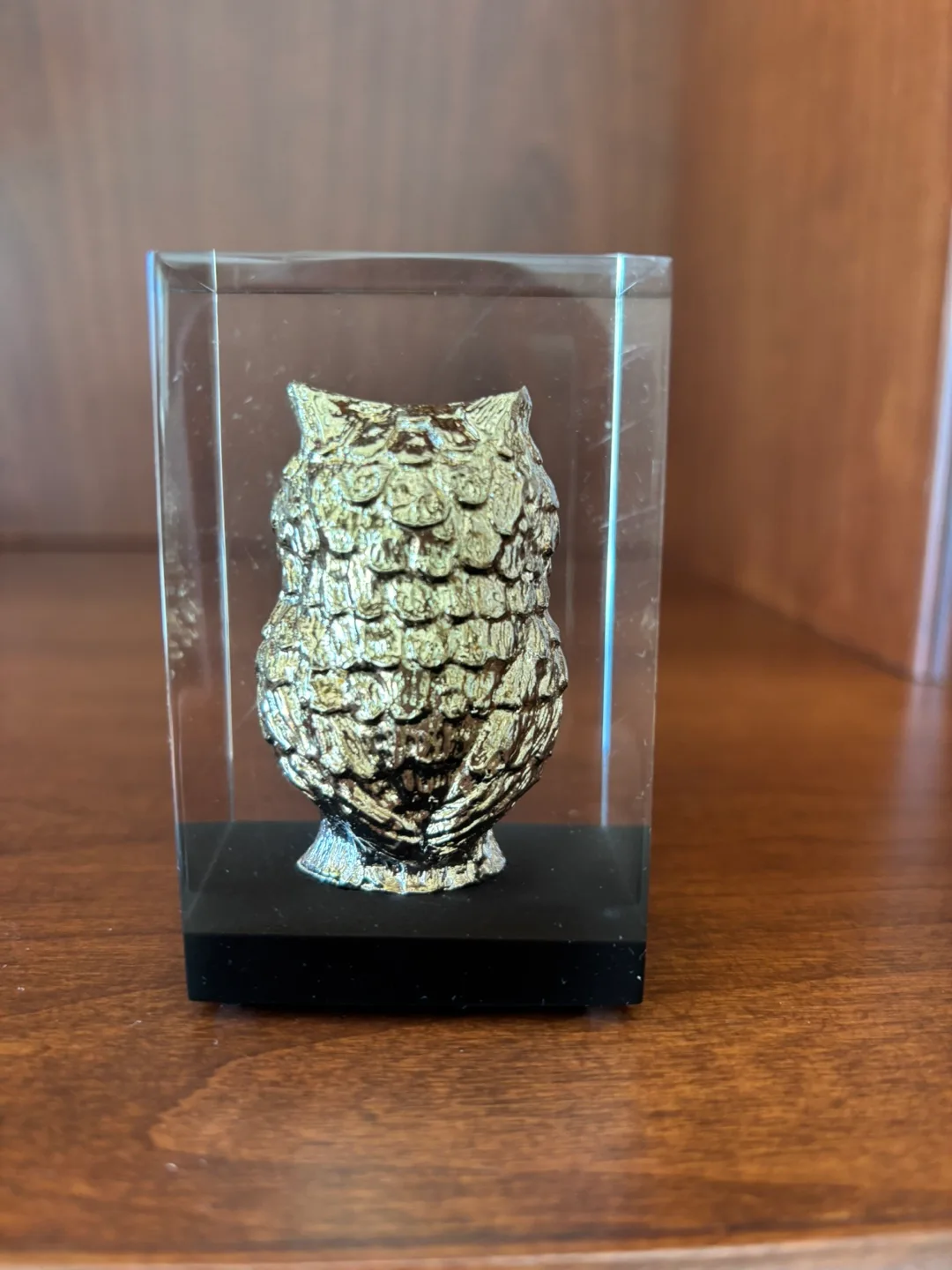 Vintage Paperweight of Gold Toned Owl Embedded in Lucite image indicator(4)