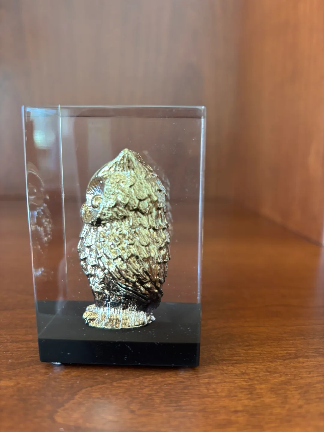 Vintage Paperweight of Gold Toned Owl Embedded in Lucite image indicator(2)