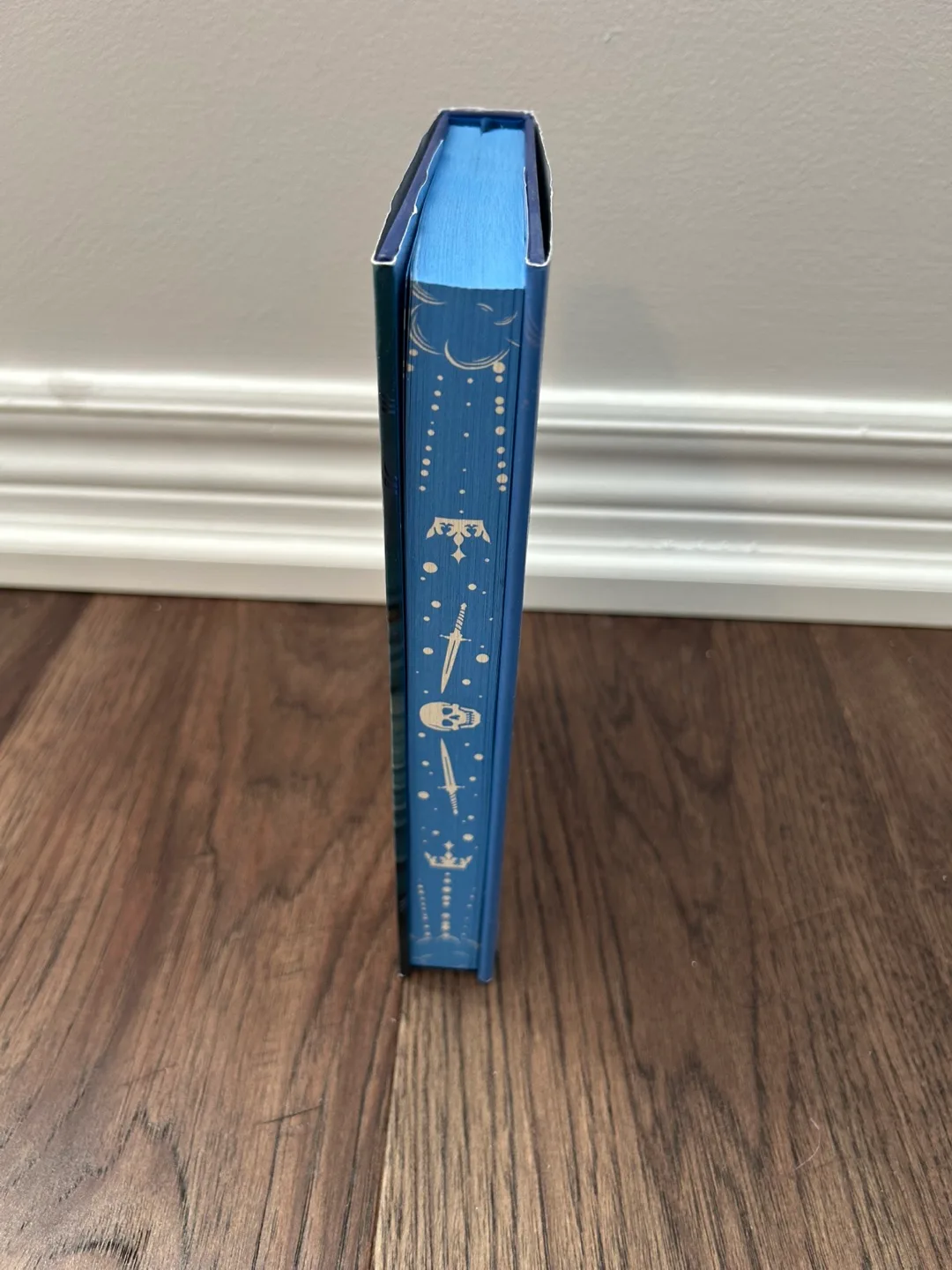 BN Deluxe Vengeance of the Pirate Queen - Tricia Levenseller image indicator(4)