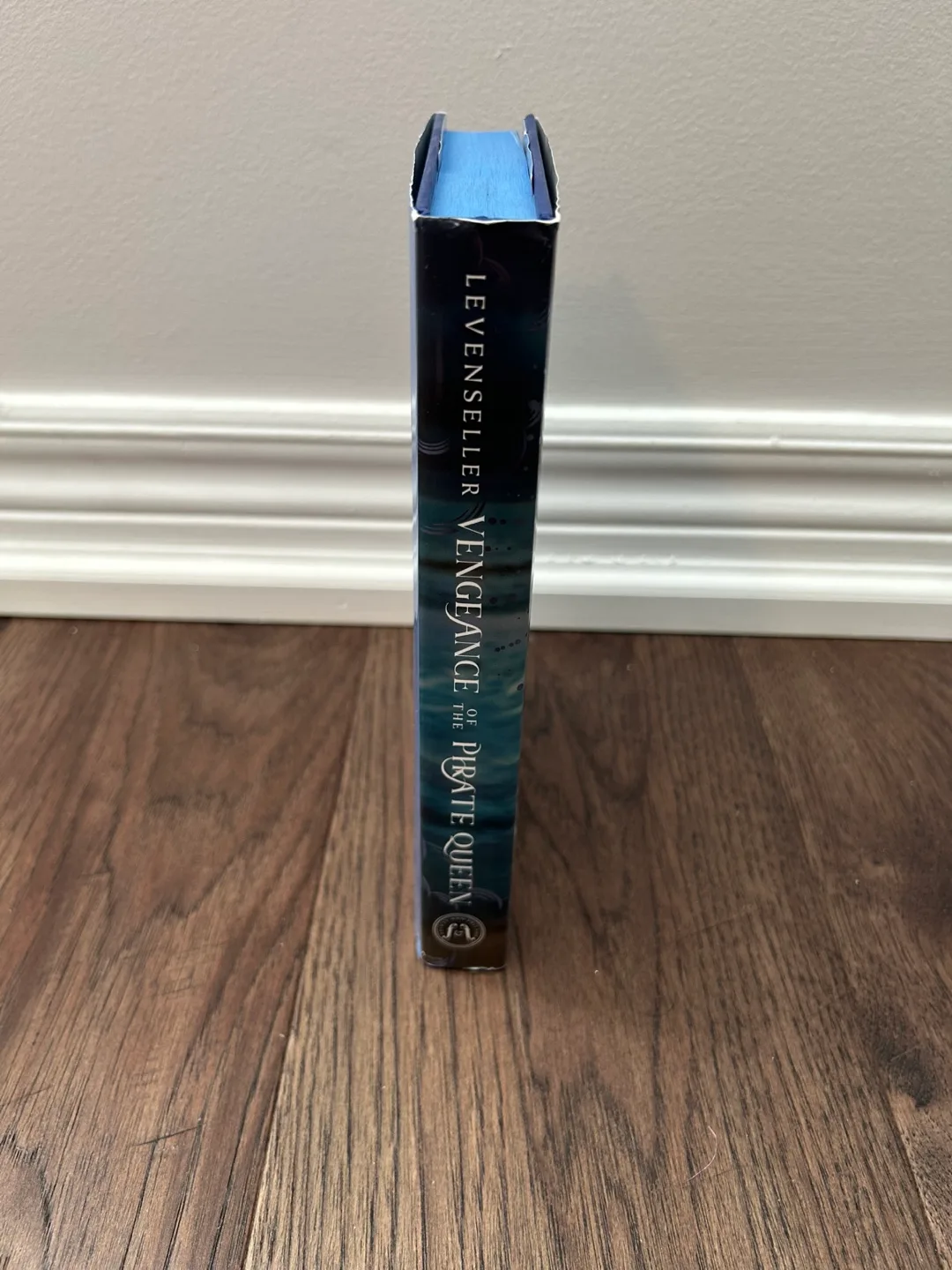 BN Deluxe Vengeance of the Pirate Queen - Tricia Levenseller image indicator(5)