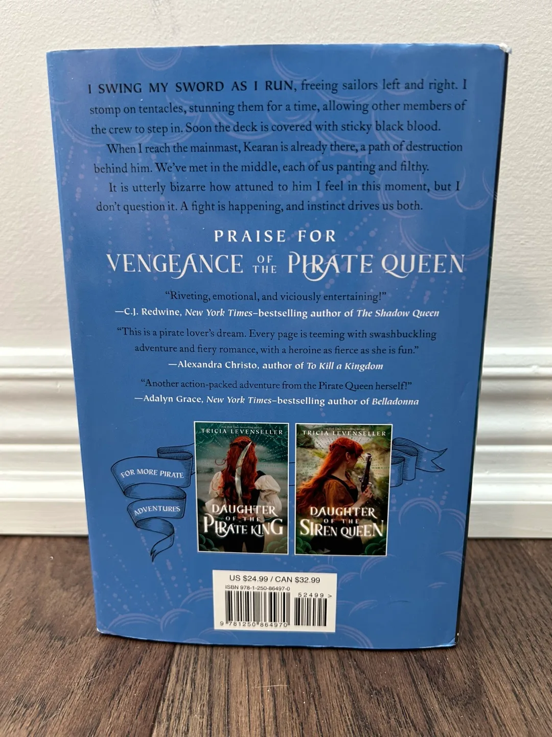 BN Deluxe Vengeance of the Pirate Queen - Tricia Levenseller image indicator(3)