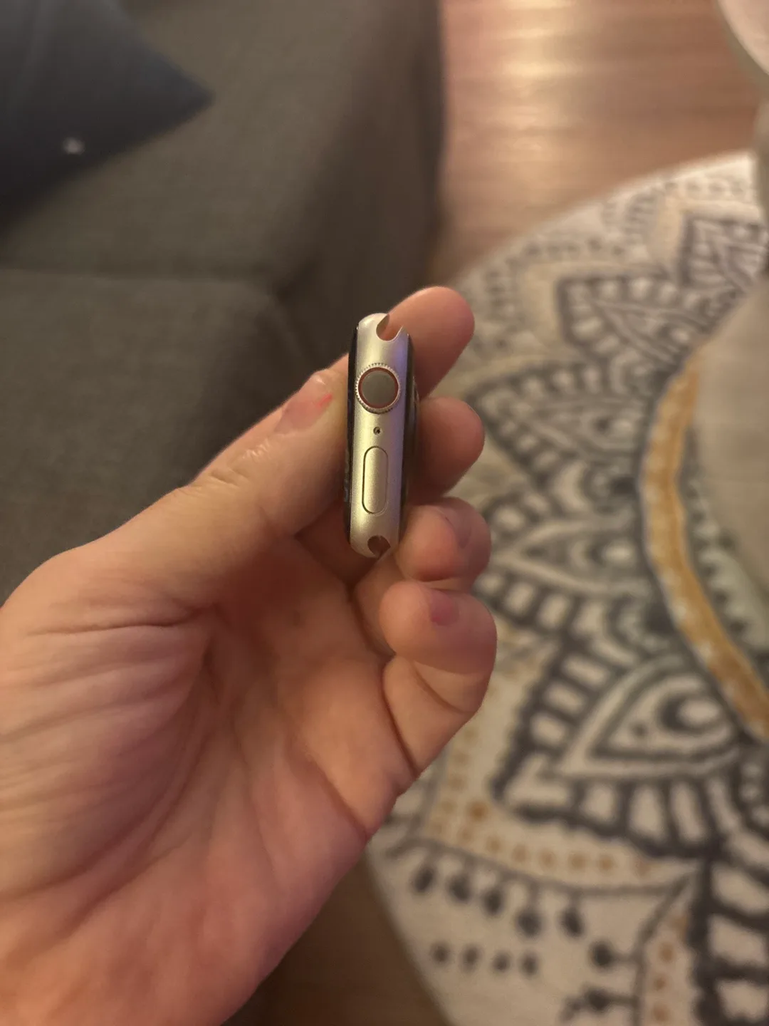 Apple Watch Series 7 LTE image indicator(8)