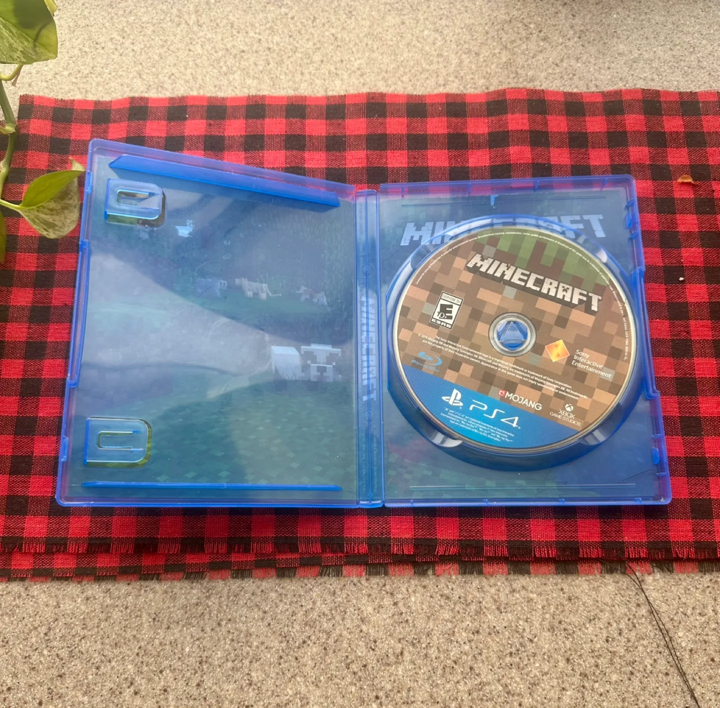 Minecraft PlayStation 4 Game image indicator(3)