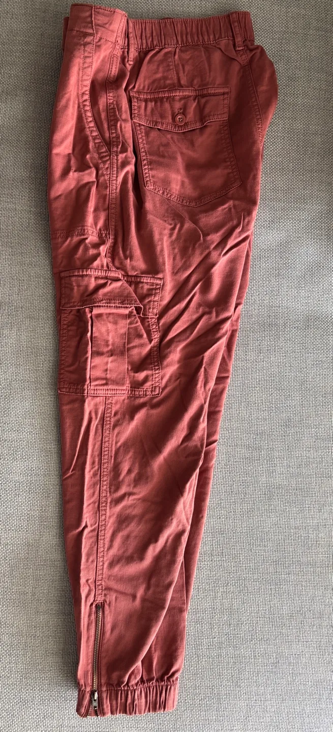 GAP Women's Cargo Utility Joggers - Rust Brown ~ 6 Regular image indicator(2)
