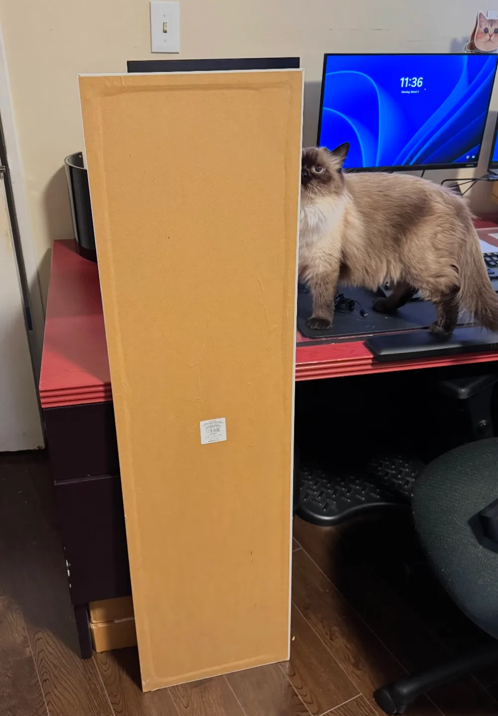 Full-Length White Frame Mirror image indicator(2)