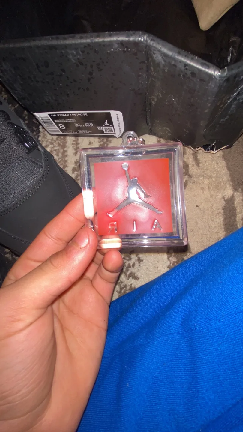 Air Jordan 4 Retro SE Black Cat image indicator(5)