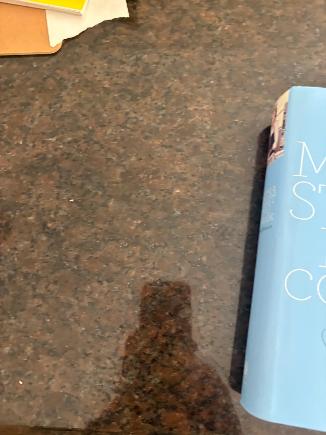 Martha Stewart Living The New Classics- 2007 1st Edition image indicator(5)