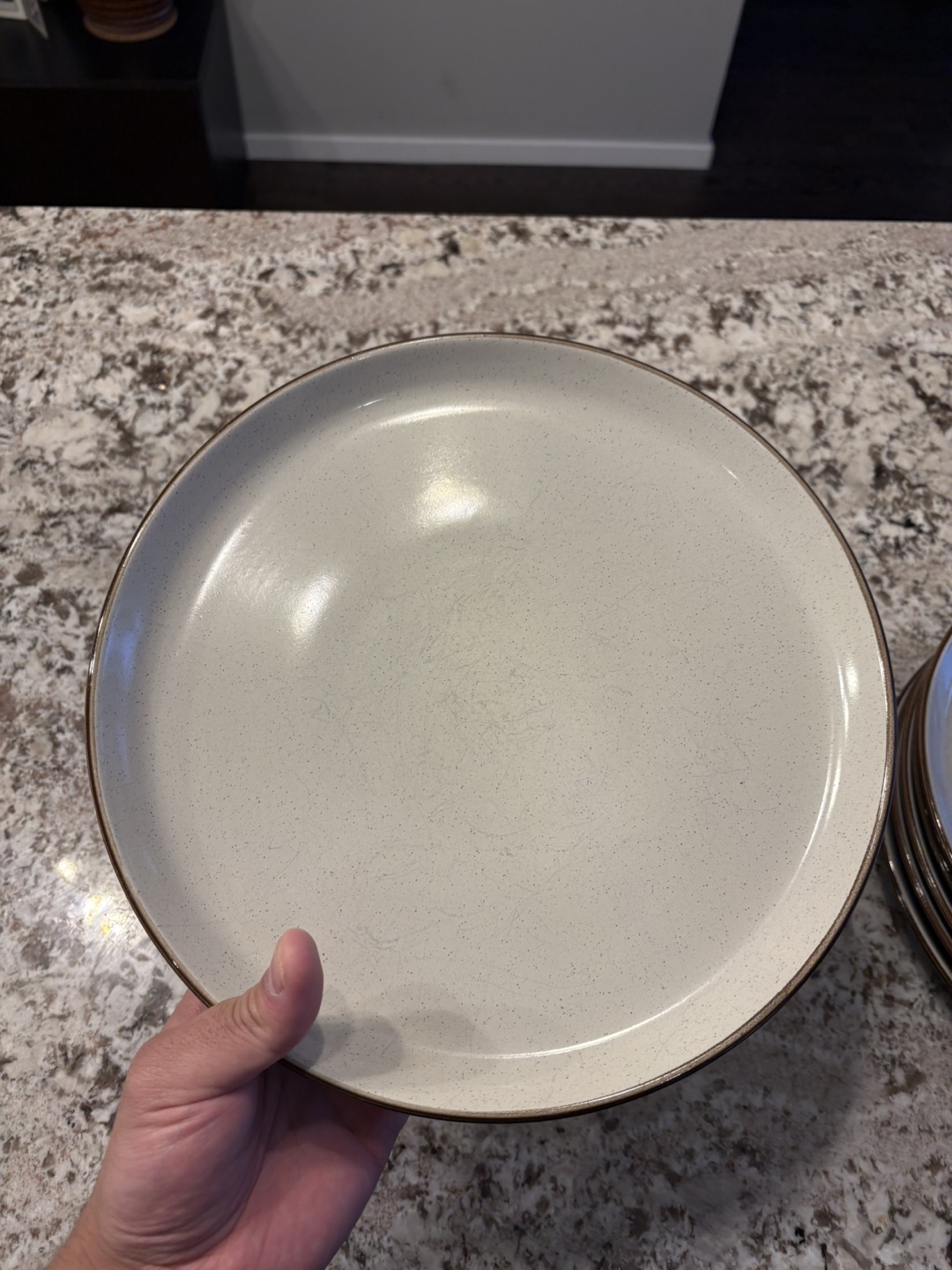 Stoneware Dinner Plates Set