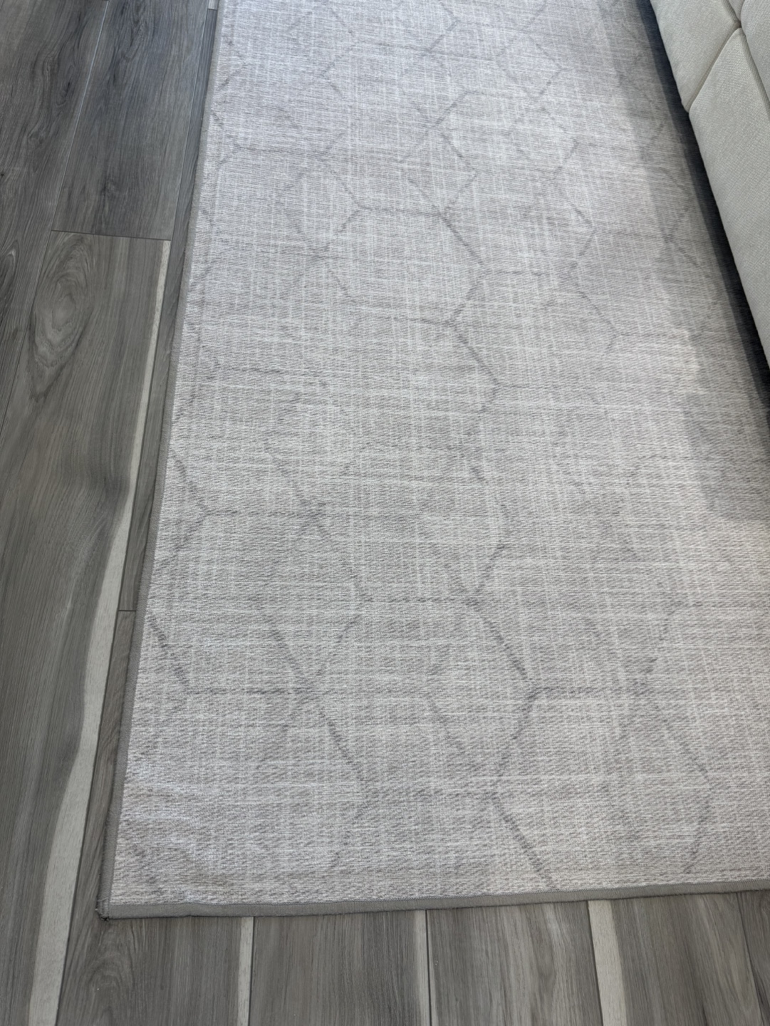 RUGGABLE Area Rug, Light Biege/Grey - photo 2