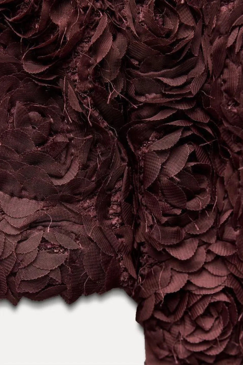 Zara Burgundy Rose Detail Bolero image indicator(2)