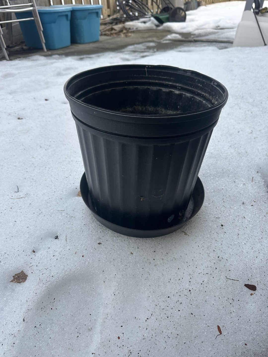Black Plastic Plant Pot with Saucer