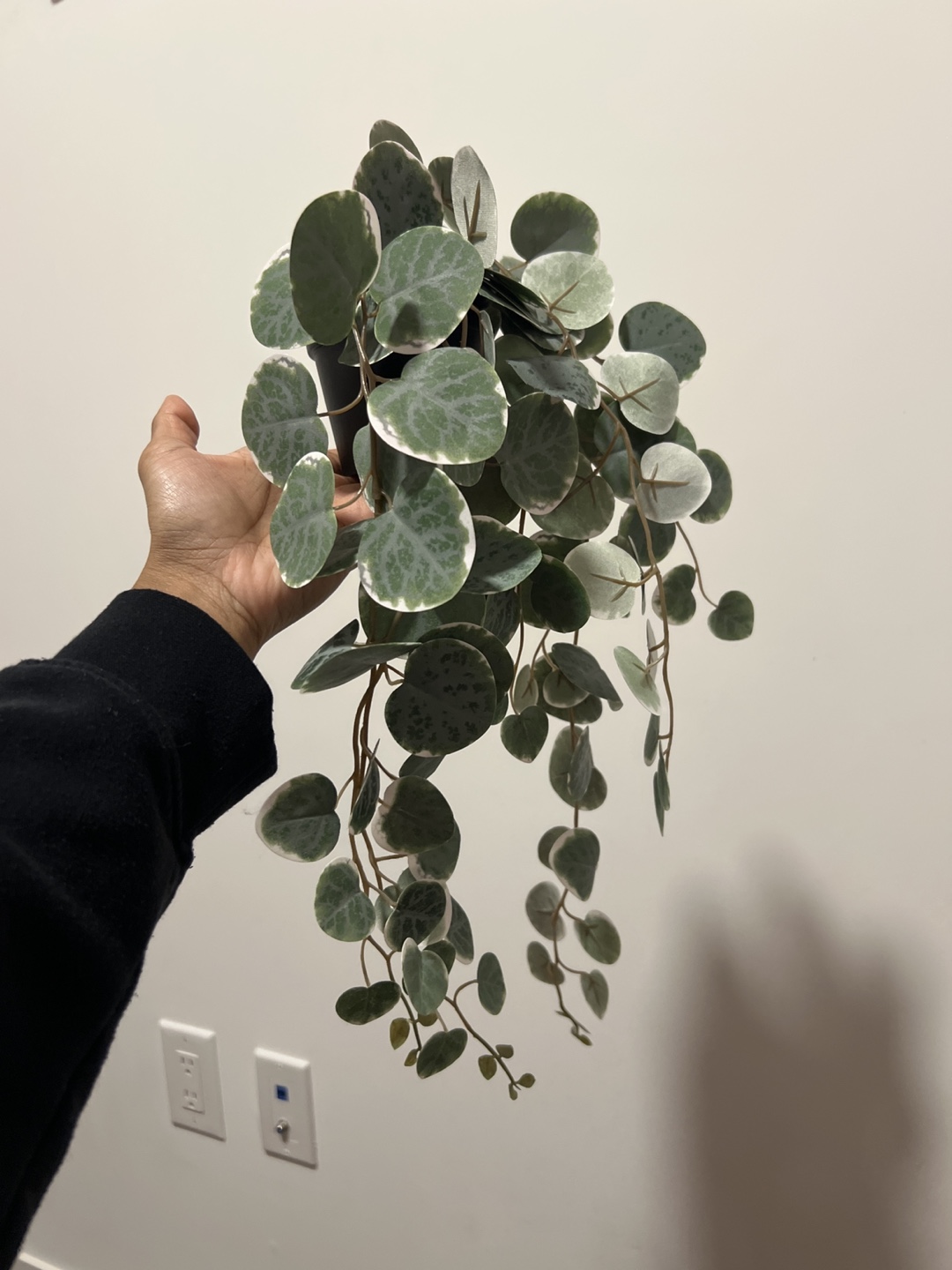 Artificial trailing plant