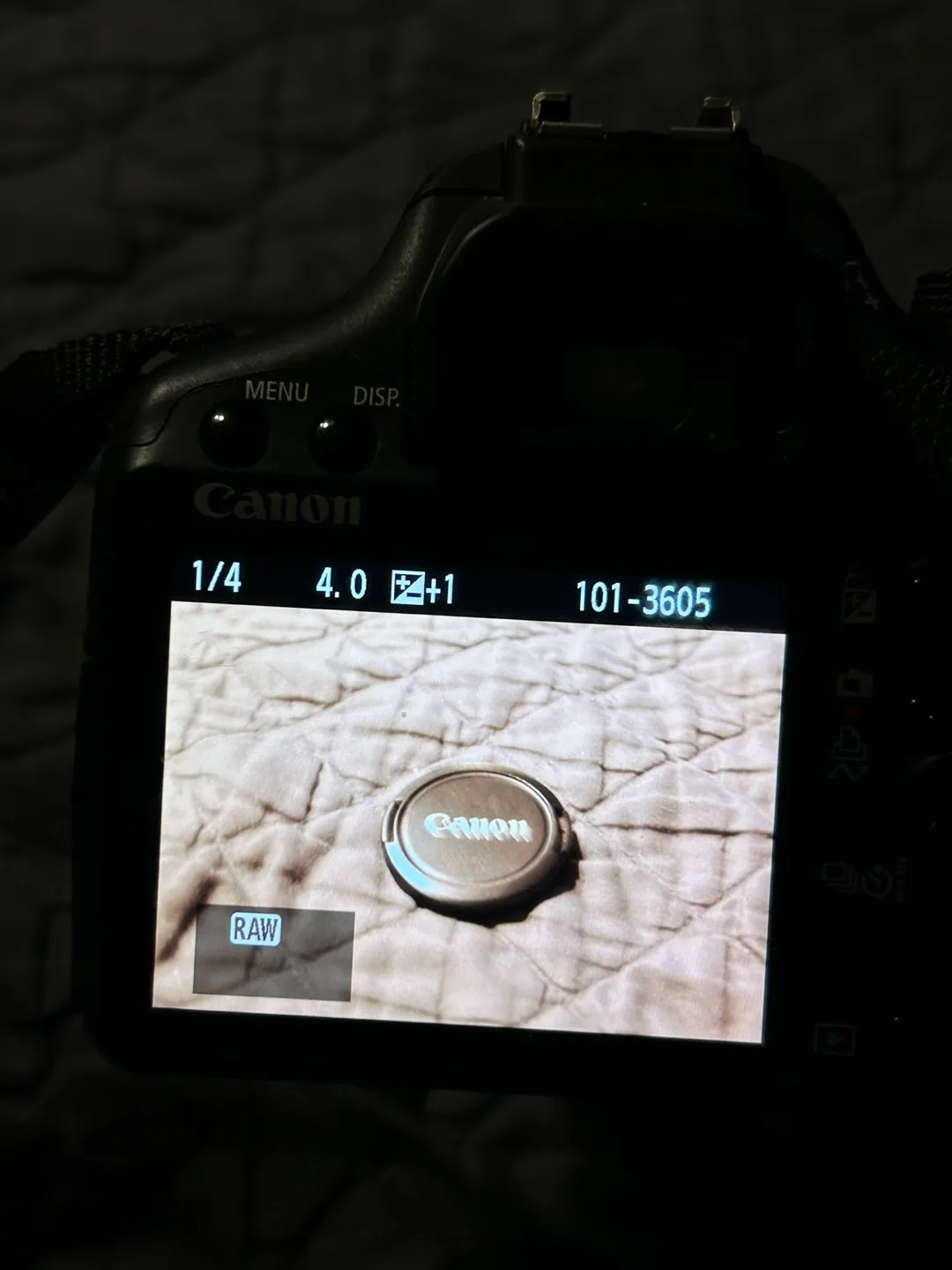 Canon EOS Rebel T1i Digital Camera EF-S 18-55mm Zoom Lens image indicator(9)
