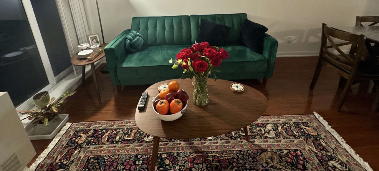 Green Velvet Sofa