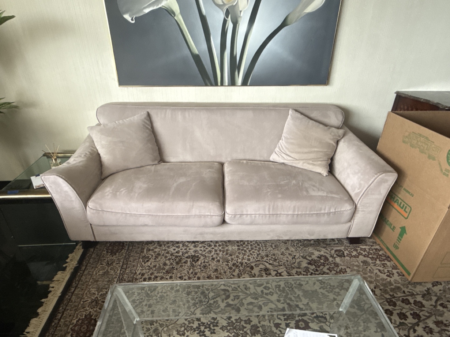 Beige Loveseat and Sofa