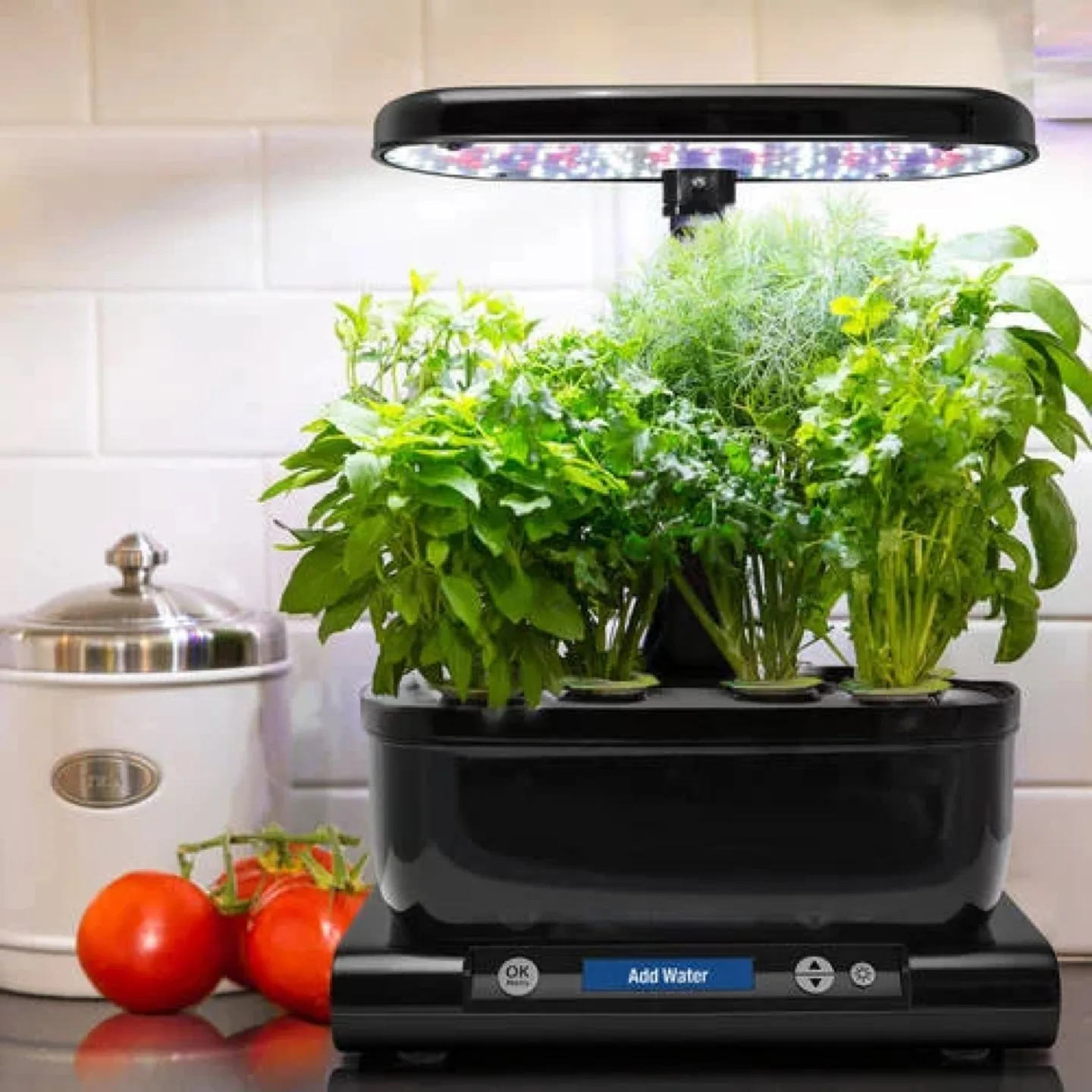 AeroGarden Harvest Indoor Garden + free seeds,ground,pot image indicator(3)