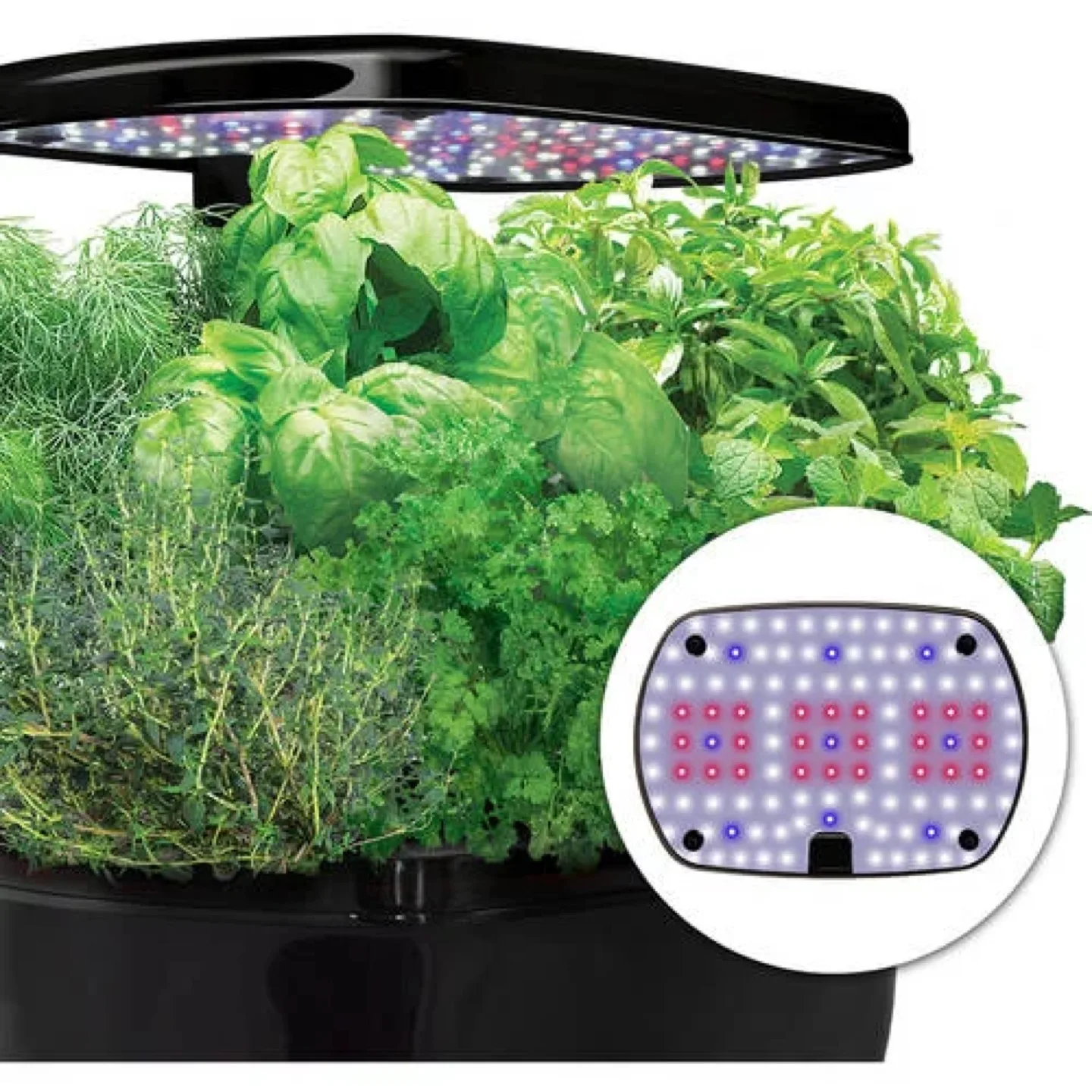 AeroGarden Harvest Indoor Garden + free seeds,ground,pot image indicator(6)