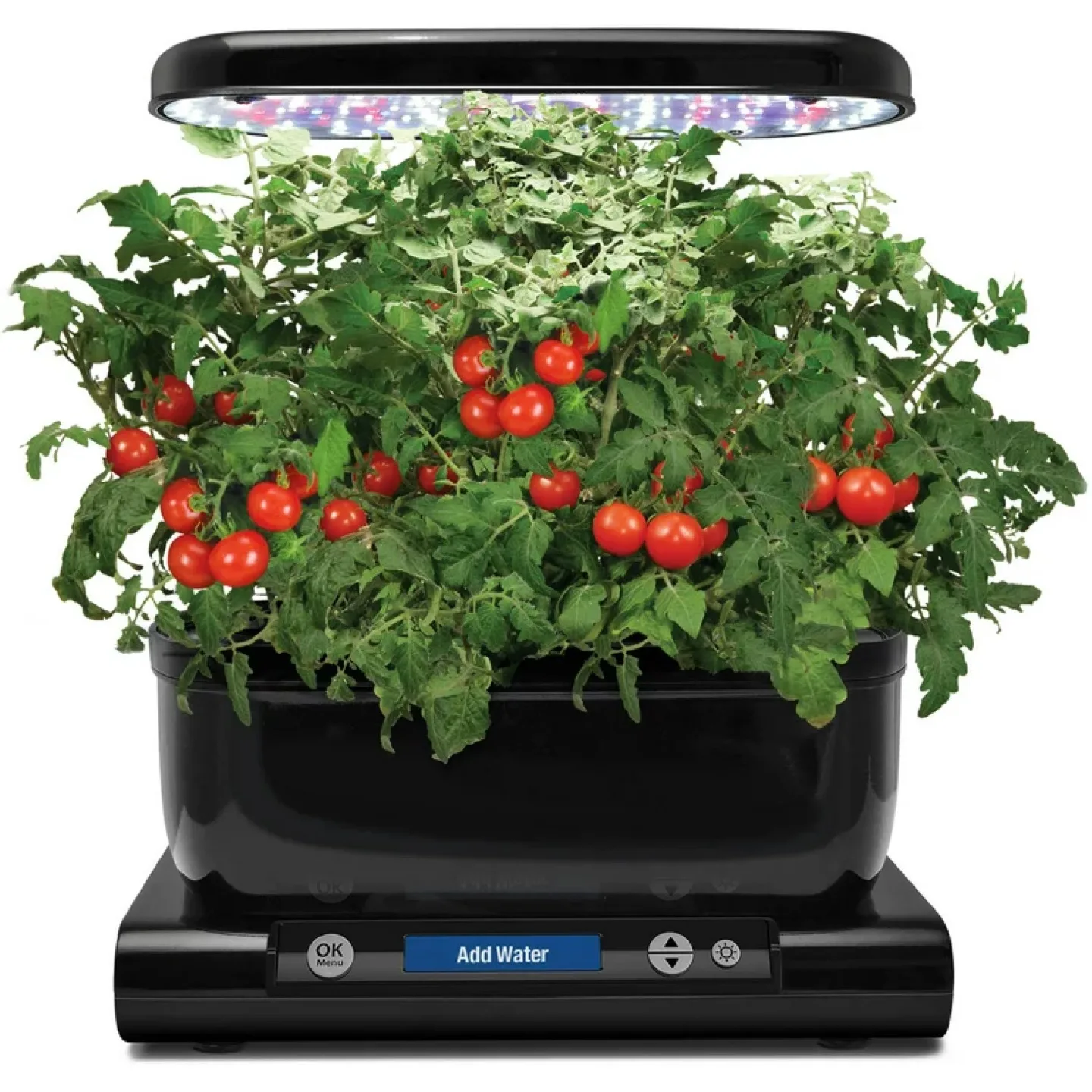 AeroGarden Harvest Indoor Garden + free seeds,ground,pot image indicator(5)