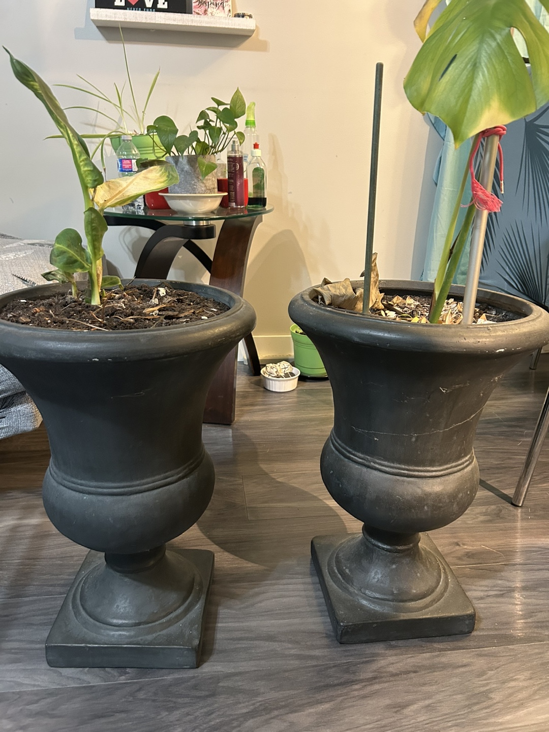 Pair of Dark Grey Urn Planters