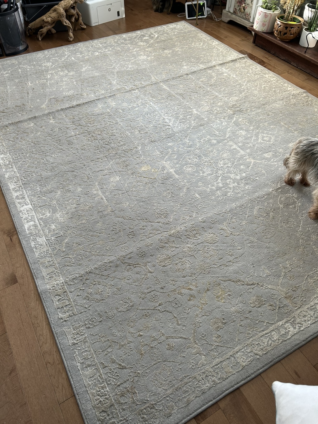 Large Grey Area Rug