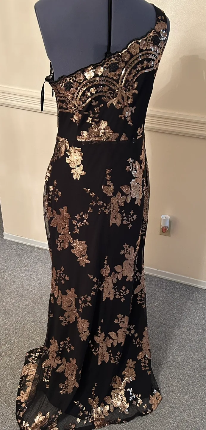 Gorgeous Black and Rose Gold Sequin Maxi Dress image indicator(5)