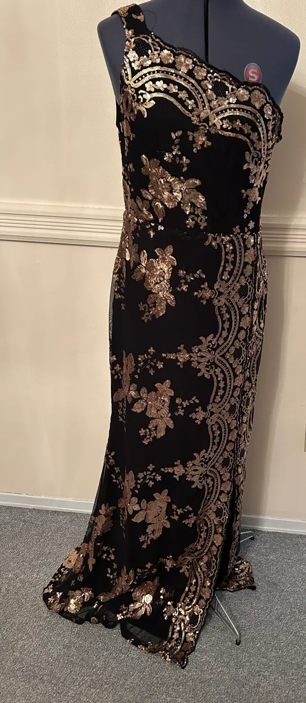 Gorgeous Black and Rose Gold Sequin Maxi Dress image indicator(7)