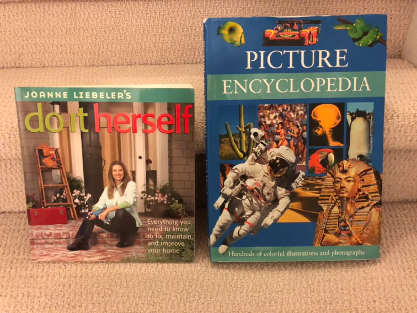 $3 per book - 8 Educational & Home Improvement Books image indicator(3)