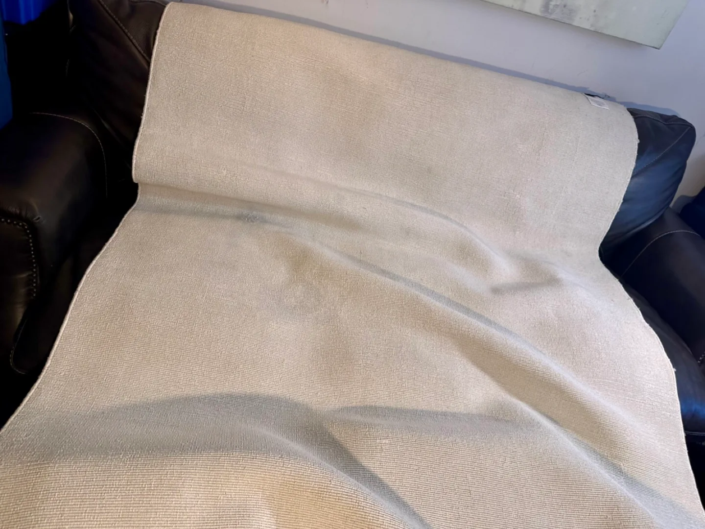 CB2 Kole Rug - Off-White image indicator(8)