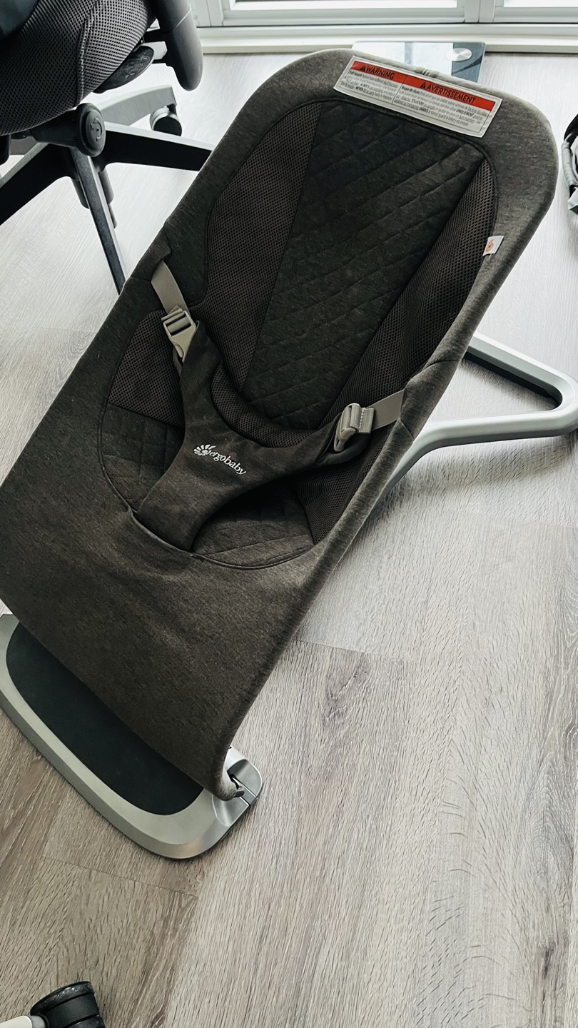 Ergobaby bouncer