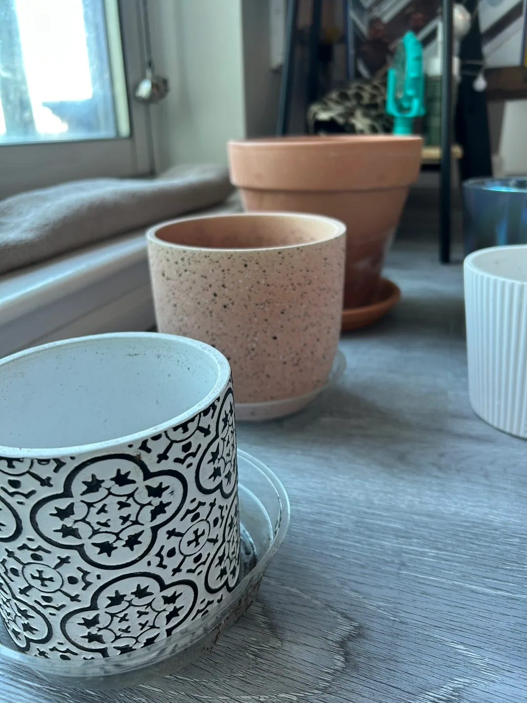 Assorted Plant Pots image indicator(3)