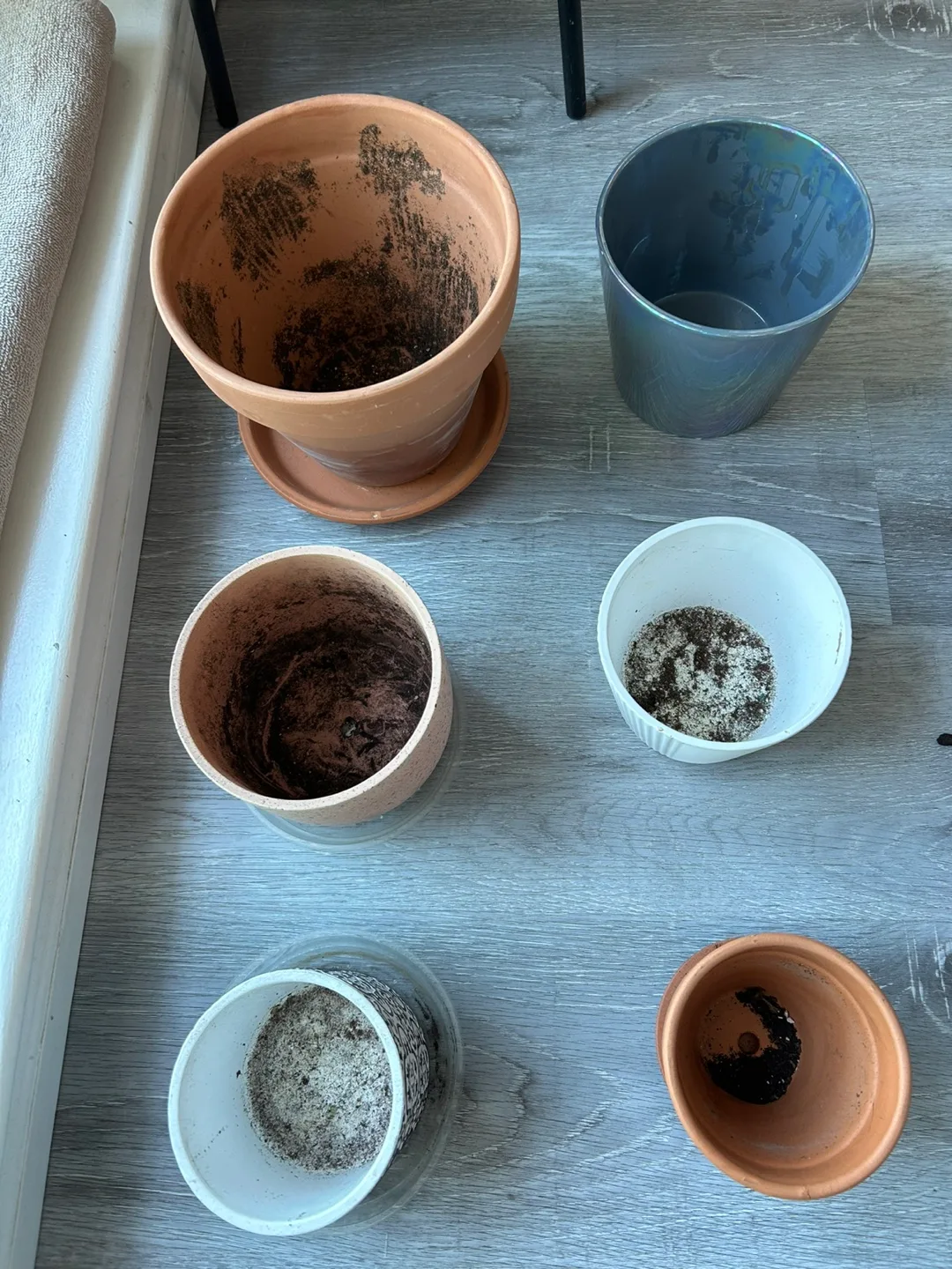 Assorted Plant Pots image indicator(4)
