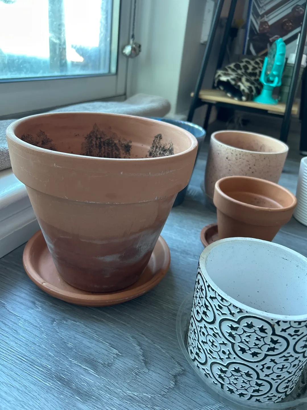 Assorted Plant Pots image indicator(2)