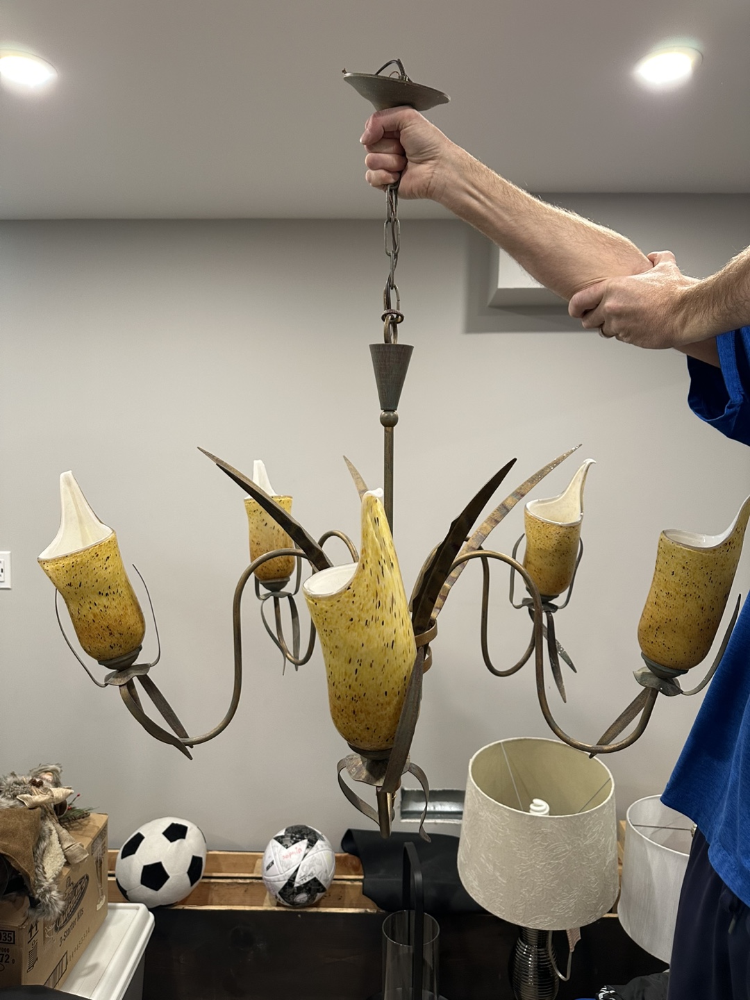 Five-Light Chandelier with Unique Glass Shades