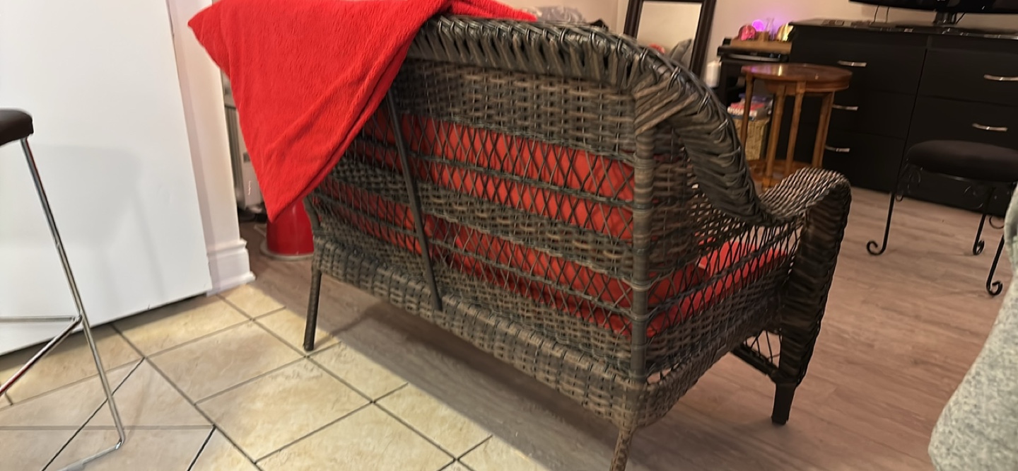 Wicker Patio Love Seat with Cushions - photo 3