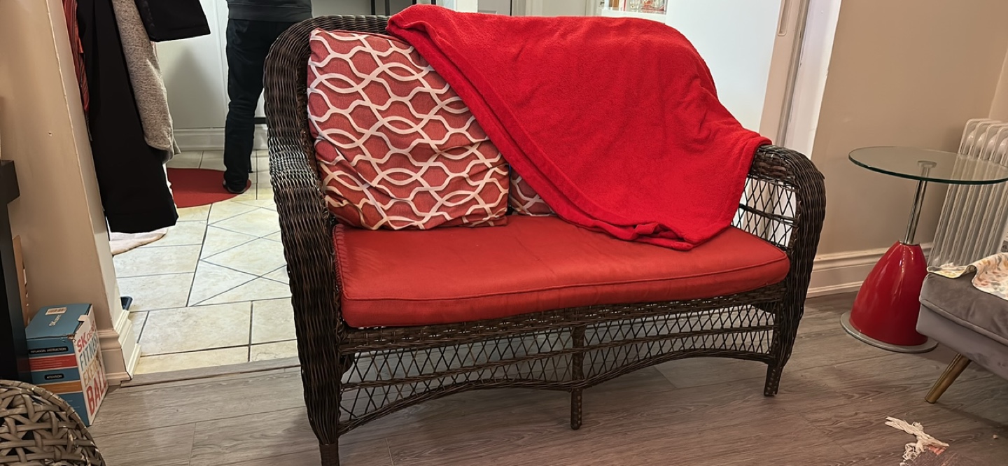 Wicker Patio Love Seat with Cushions