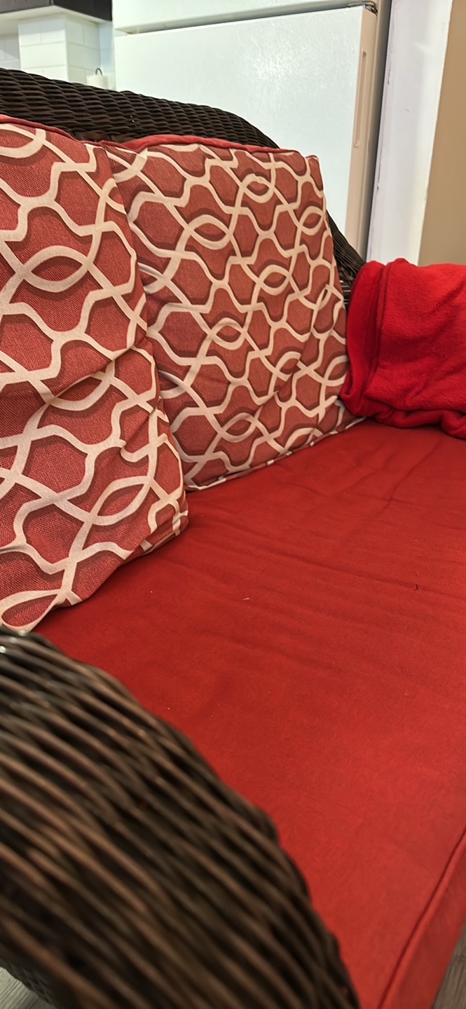Wicker Patio Love Seat with Cushions - photo 2